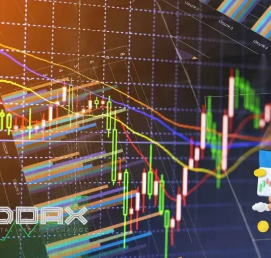Pelajari masalah umum saat verifikasi KYC di Indodax dan temukan tips mudah agar proses cepat disetujui tanpa hambatan.